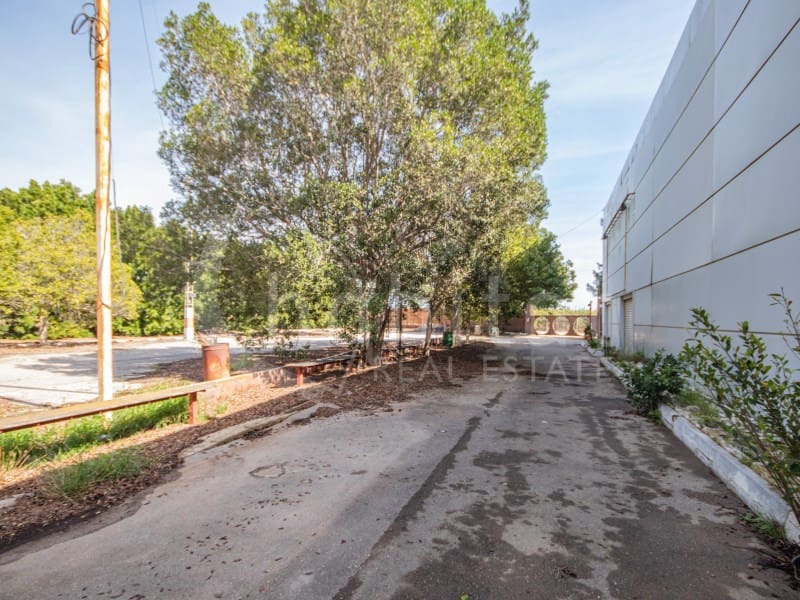 Terreno Não Urbanizado para venda em Los Montesinos - 540 800 € (Ref: 9794374)