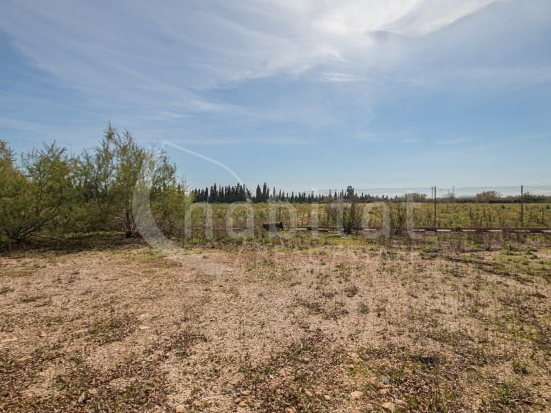 Terreno Não Urbanizado para venda em Los Montesinos - 540 800 € (Ref: 9794374)