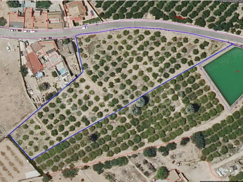 Mark till salu i Los Montesinos - 140 000 € (Ref: 9915767)