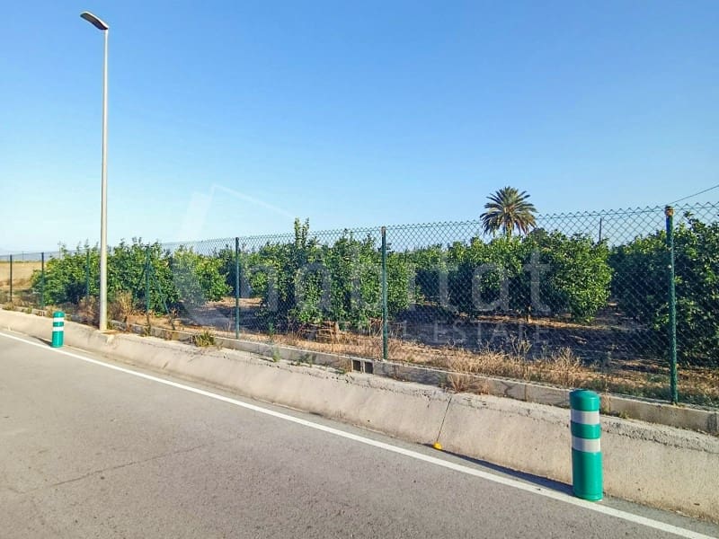 Mark till salu i Los Montesinos - 140 000 € (Ref: 9915767)