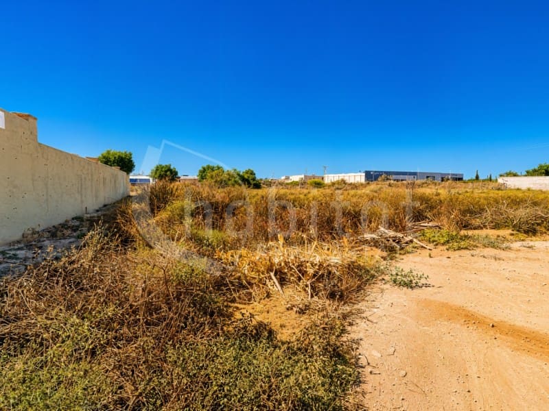 Mark till salu i Los Montesinos - 90 000 € (Ref: 9941965)
