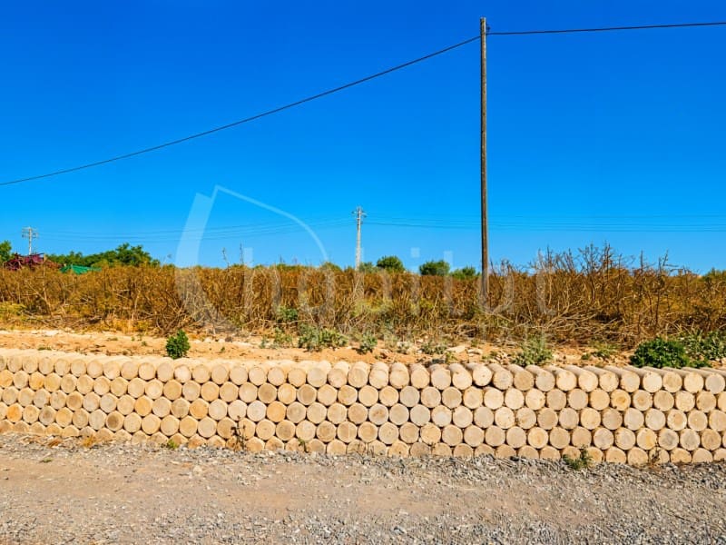 Mark till salu i Los Montesinos - 90 000 € (Ref: 9941965)