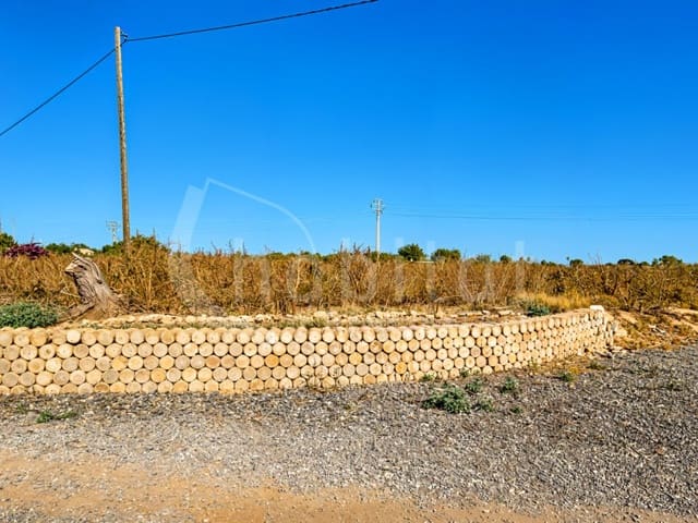 Mark till salu i Los Montesinos - 90 000 € (Ref: 9941965)