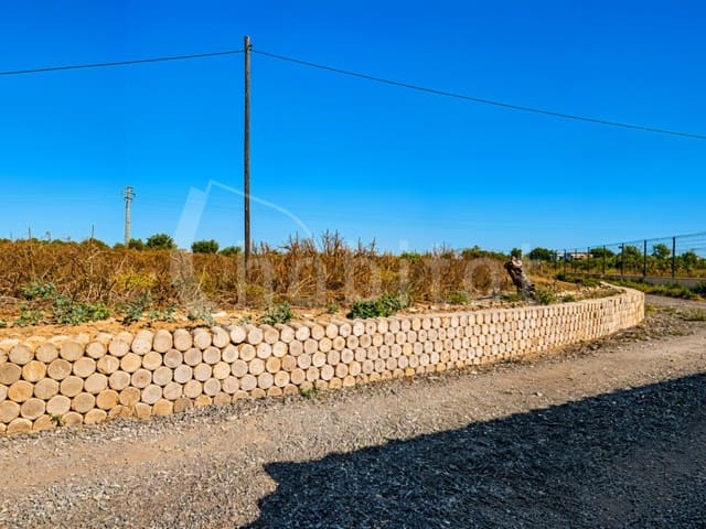 Mark till salu i Los Montesinos - 90 000 € (Ref: 9941965)
