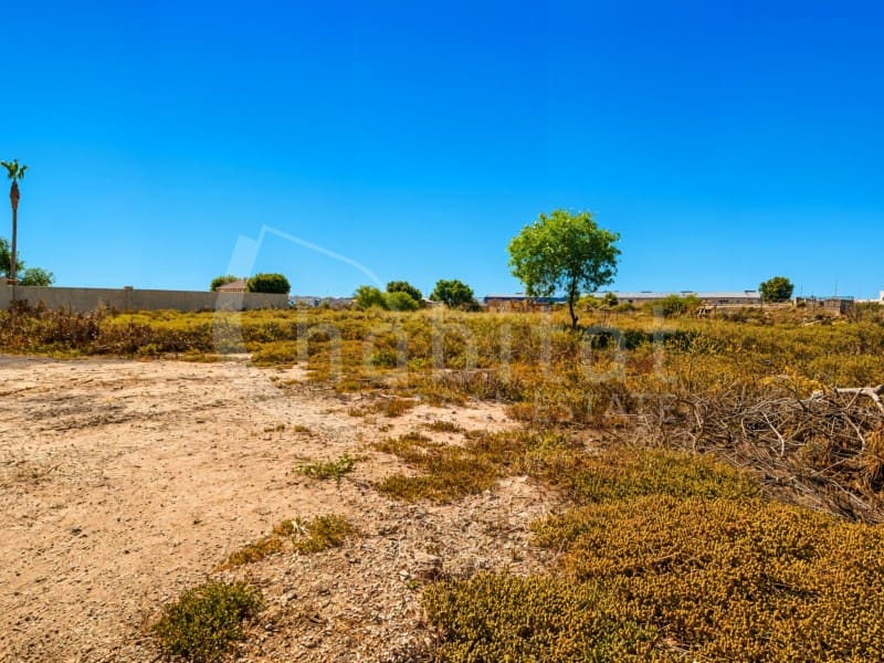 Mark till salu i Los Montesinos - 90 000 € (Ref: 9941965)