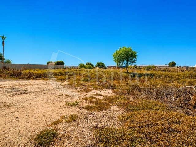 Mark till salu i Los Montesinos - 90 000 € (Ref: 9941965)