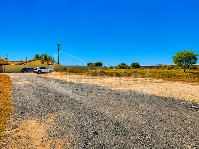 Mark till salu i Los Montesinos - 90 000 € (Ref: 9941965)
