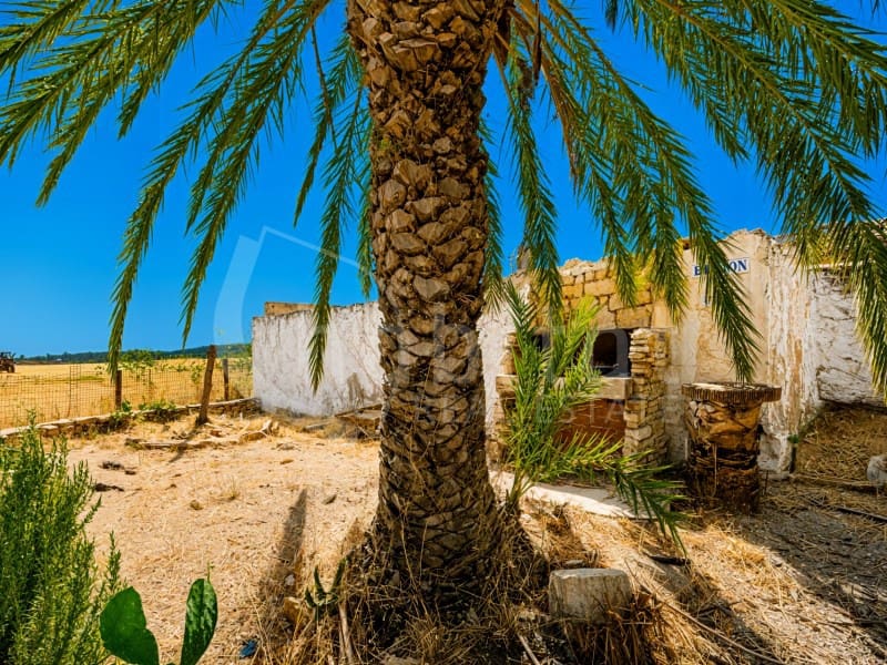 6 soverom Finca/Herregård til salgs i Orihuela med svømmebasseng garasje - € 215 000 (Ref: 9998421)