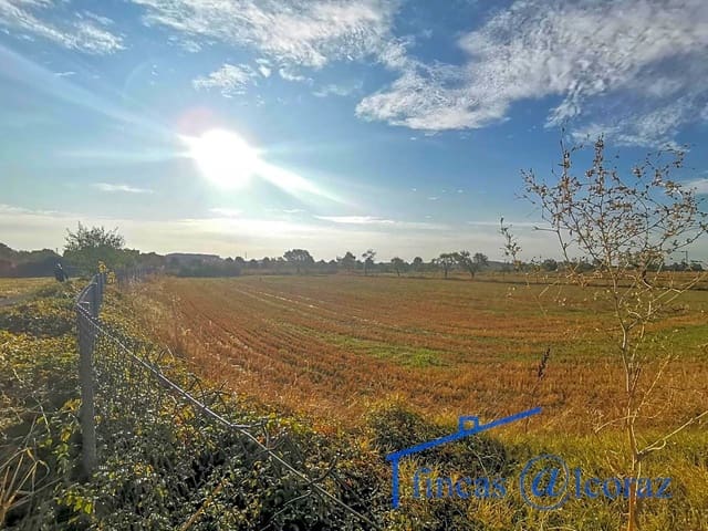 Undeveloped Land for sale in Huesca city - € 40,000 (Ref: 9650120)