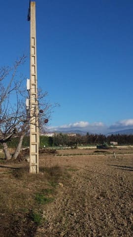 Terreno/Finca Rústica en Chimillas en venta - 45.000 € (Ref: 9650126)