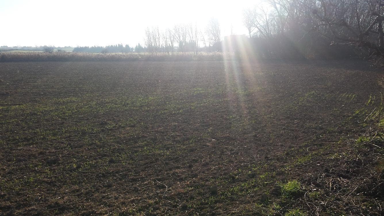 Terreno/Finca Rústica en Chimillas en venta - 45.000 € (Ref: 9650126)