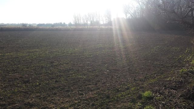 Terreno/Finca Rústica en Chimillas en venta - 45.000 € (Ref: 9650126)