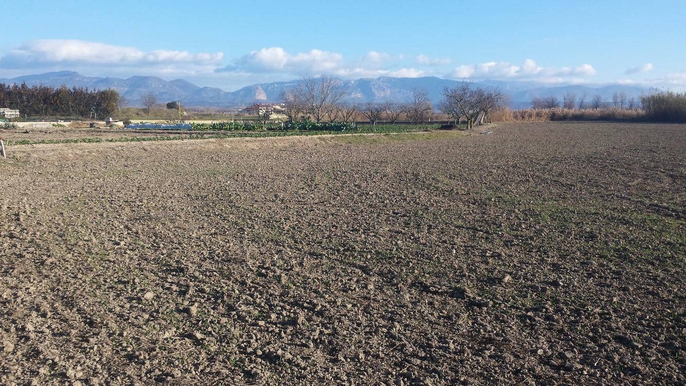 Terreno/Finca Rústica en Chimillas en venta - 45.000 € (Ref: 9650126)