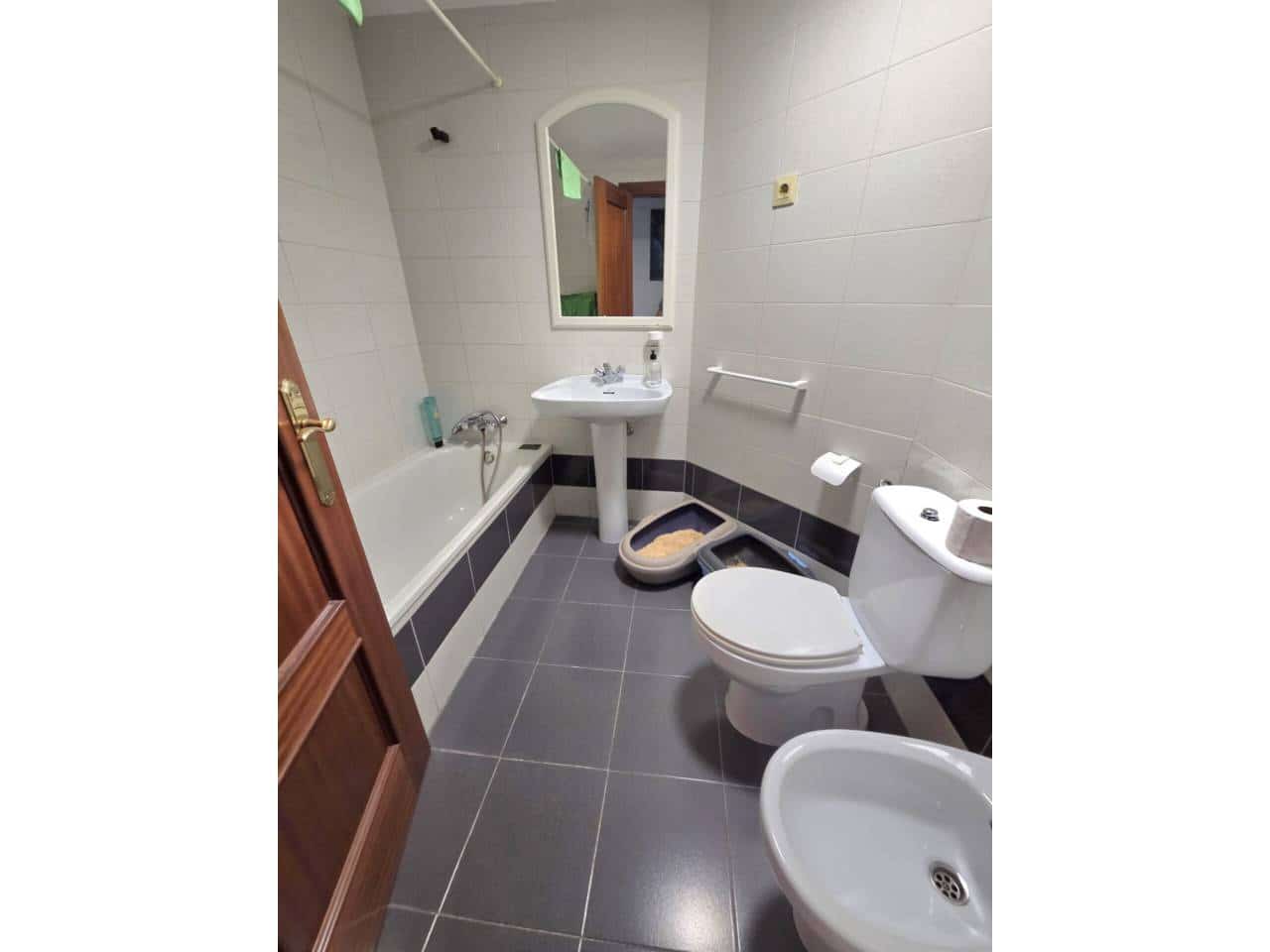 Piso de 3 habitaciones en Alicante / Alacant ciudad en alquiler con piscina - 1.100 € (Ref: 10071802)