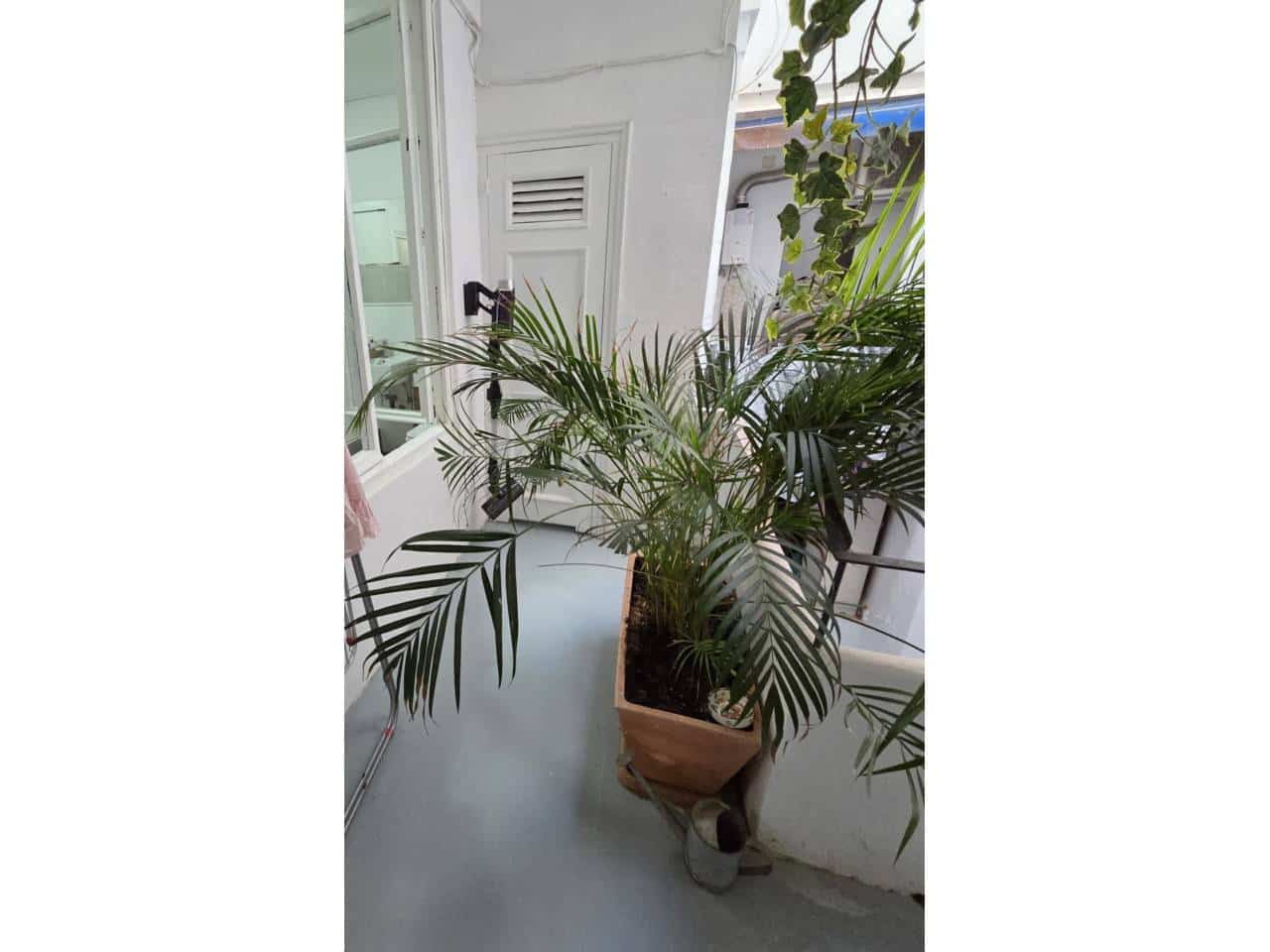 2 slaapkamer Appartement te huur in Alicante stad - € 650 (Ref: 10071803)
