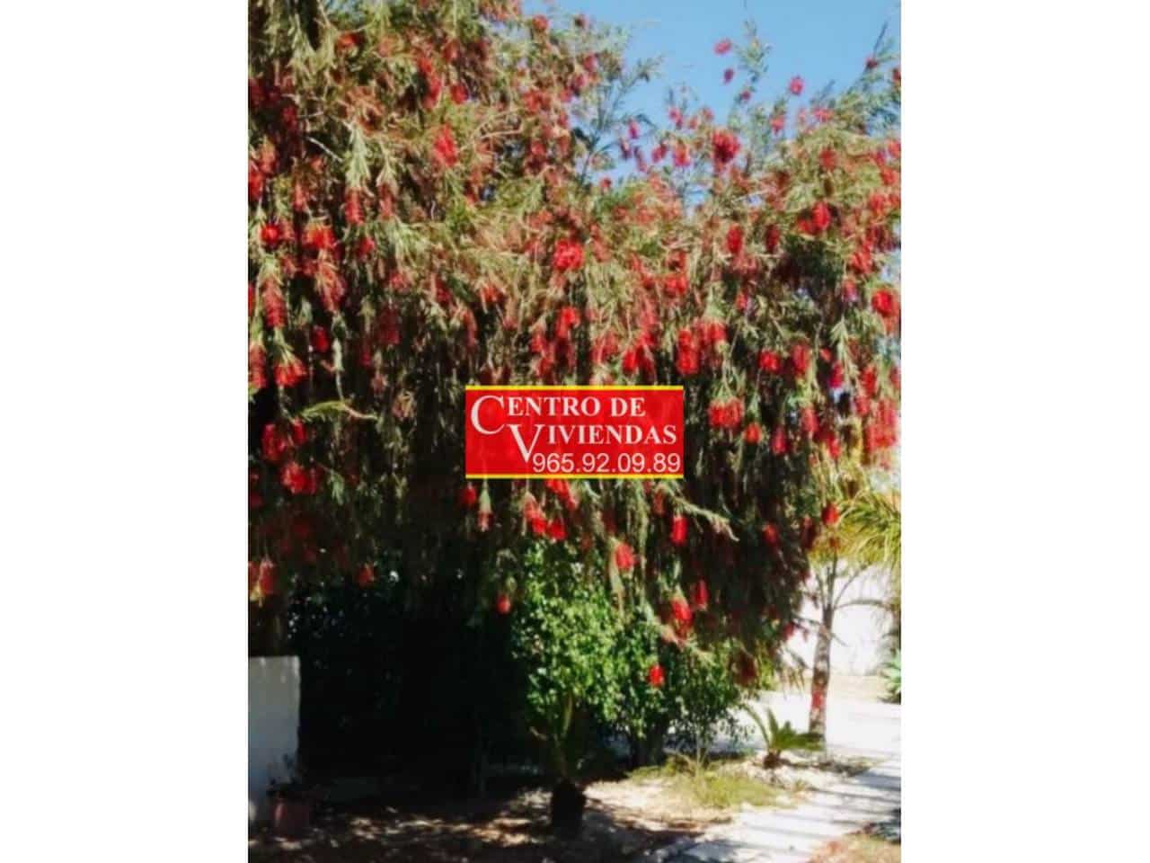 7 bedroom Villa for sale in Alicante / Alacant city with pool garage - € 985,000 (Ref: 5635564)