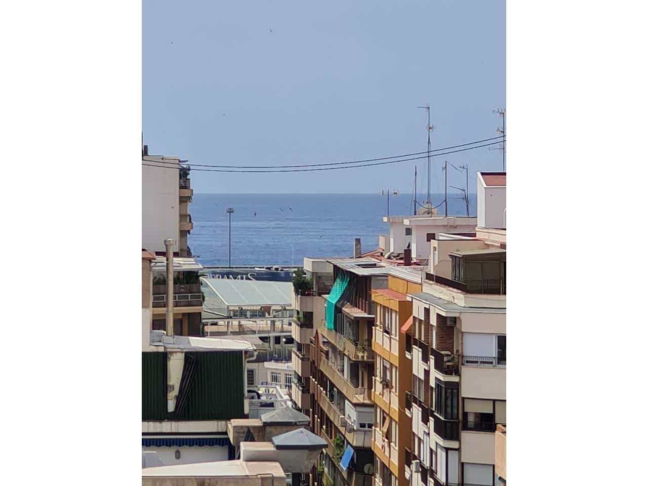 Appartement de 3 chambres à louer à Alicante ville - 1 250 € (Ref: 6260803)