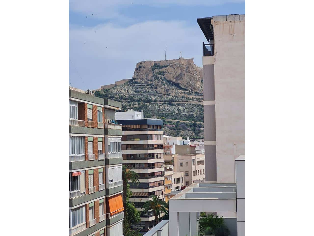 Appartement de 3 chambres à louer à Alicante ville - 1 250 € (Ref: 6260803)