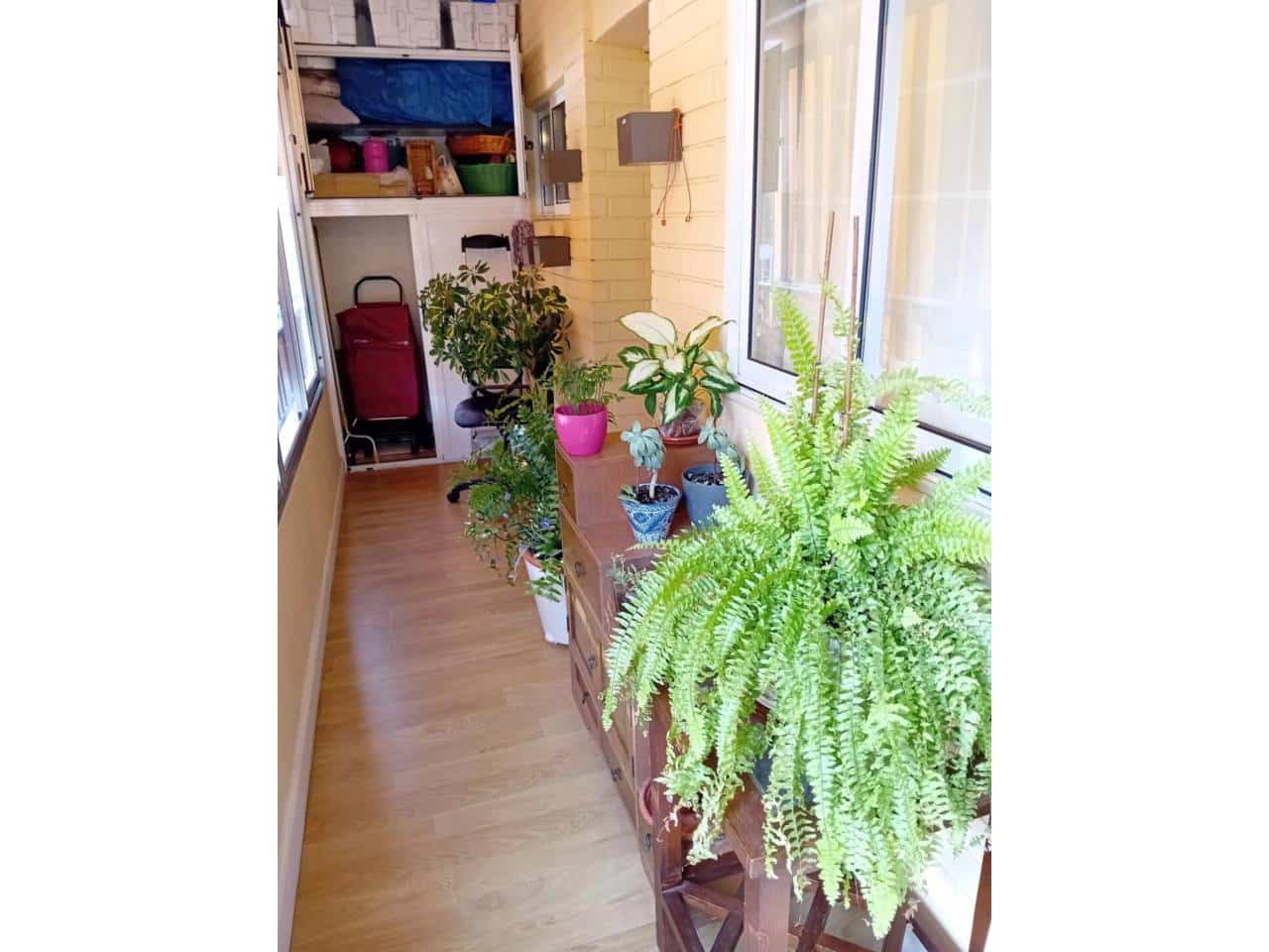 3 soverom Leilighet til leie i Alicante by - € 900 (Ref: 8178518)