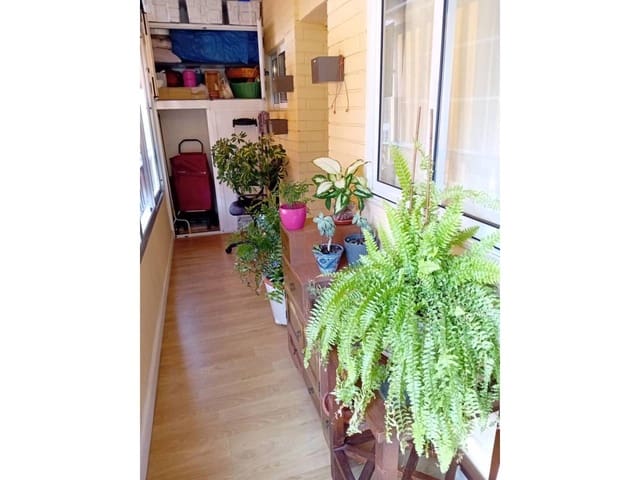 3 soverom Leilighet til leie i Alicante by - € 900 (Ref: 8178518)