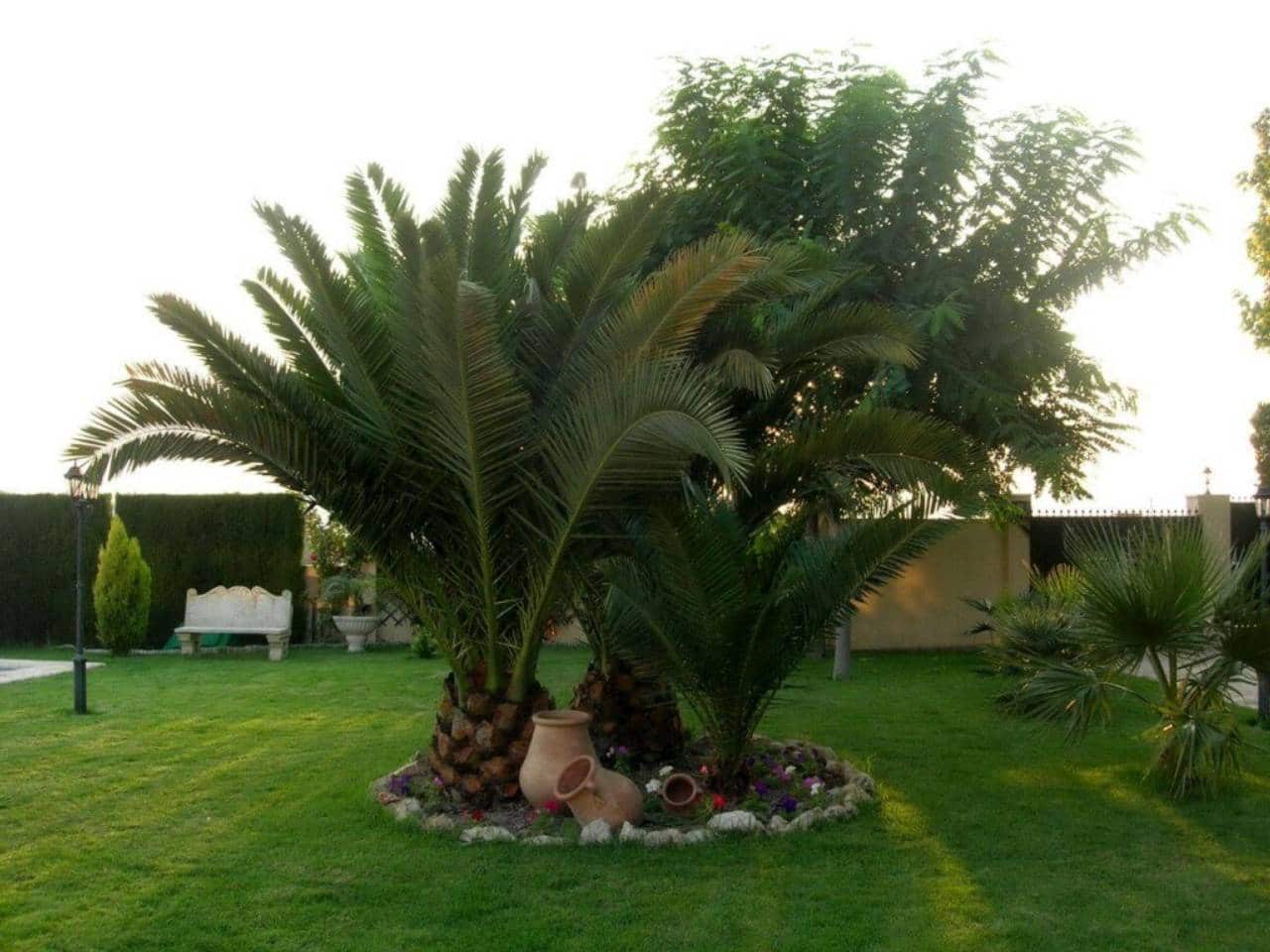 5 bedroom Villa for sale in Elda with pool garage - € 890,000 (Ref: 9084834)