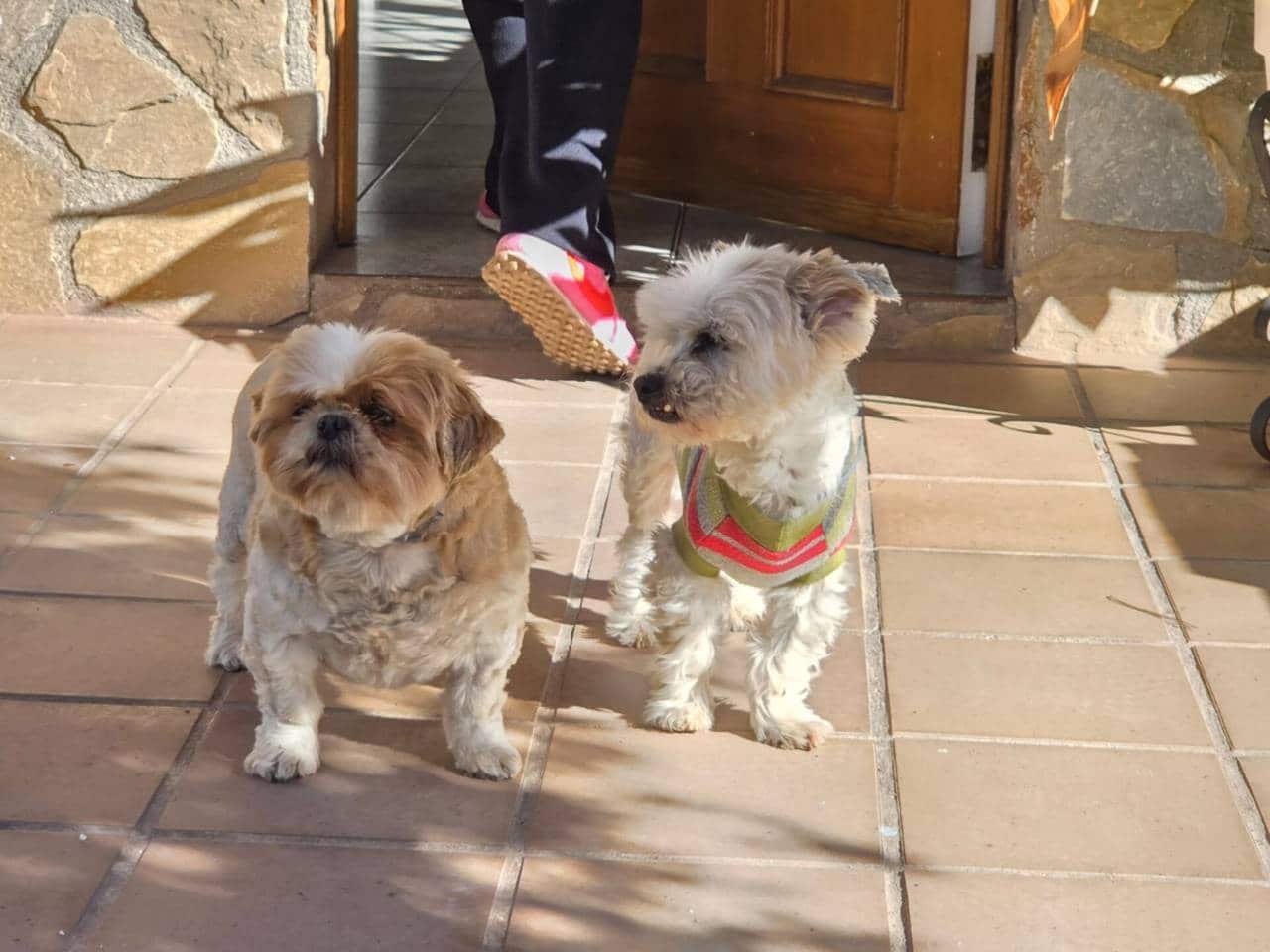 4 bedroom Villa for rent in El Campello with pool garage - € 2,000 (Ref: 9429114)