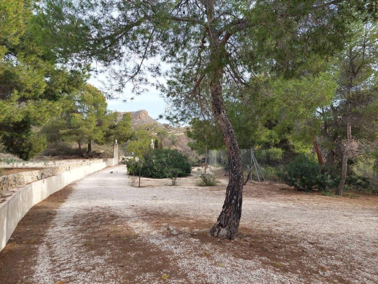 Finca/Casa Rural de 3 habitaciones en El Campello en venta con piscina garaje - 750.000 € (Ref: 9464973)