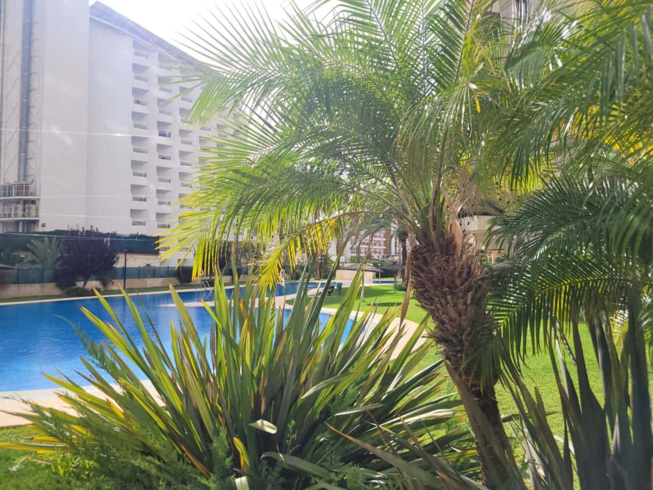 2 bedroom Flat for sale in Benidorm with pool garage - € 310,000 (Ref: 9511139)