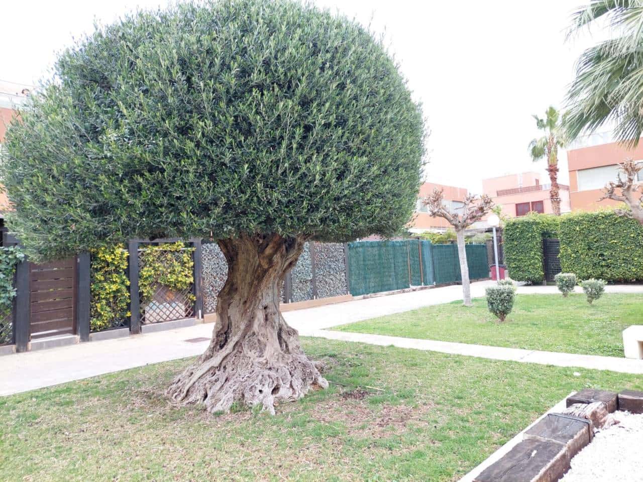 5 bedroom Bungalow for rent in Alicante / Alacant city with pool garage - € 2,500 (Ref: 9594508)