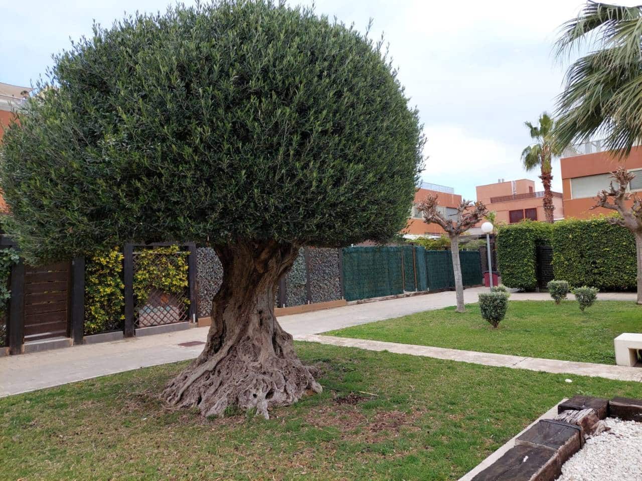 5 bedroom Bungalow for rent in Alicante / Alacant city with pool garage - € 2,500 (Ref: 9594508)
