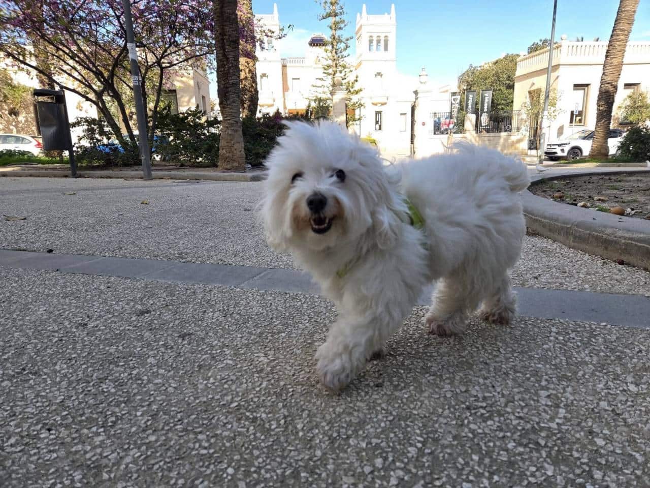 4 quarto Apartamento para venda em Alicante cidade - 277 000 € (Ref: 9706111)