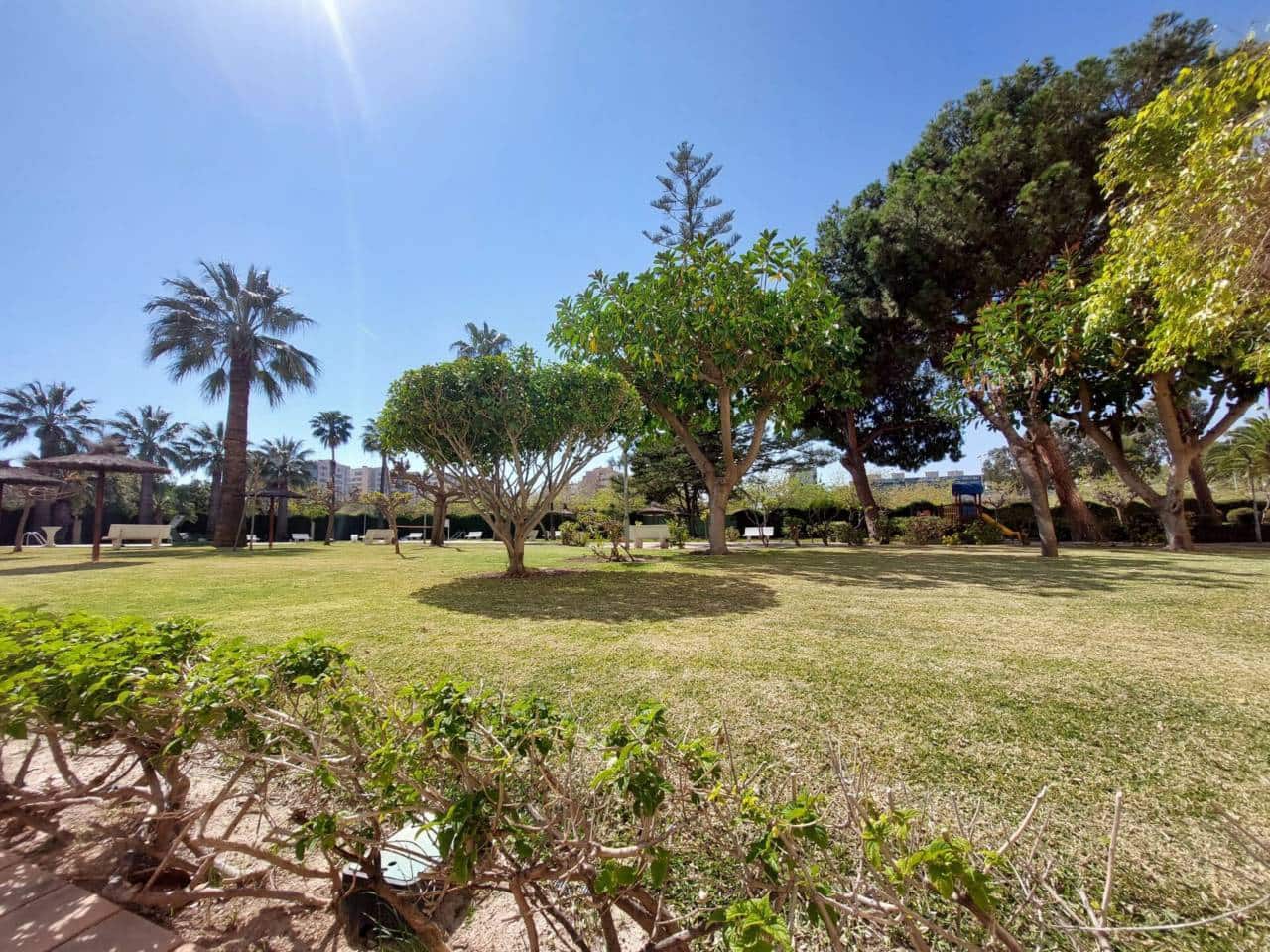 3 bedroom Flat for rent in Alicante / Alacant city with pool garage - € 1,300 (Ref: 9730807)