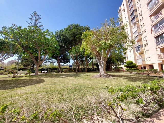 3 bedroom Flat for rent in Alicante / Alacant city with pool garage - € 1,300 (Ref: 9730807)