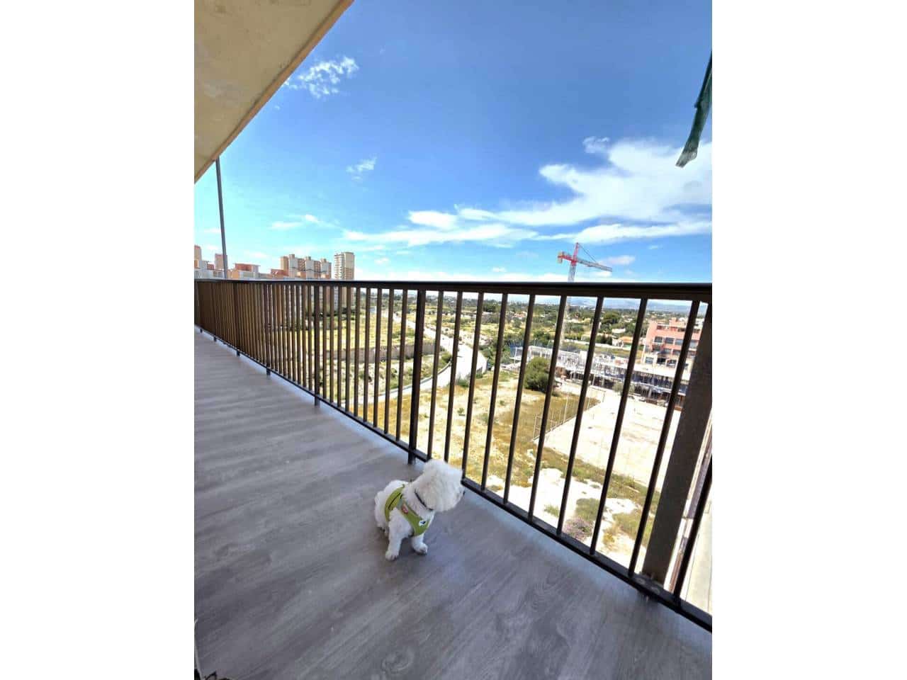 3 Zimmer Wohnung zu vermieten in El Campello mit Pool Garage - 1.500 € (Ref: 9807127)