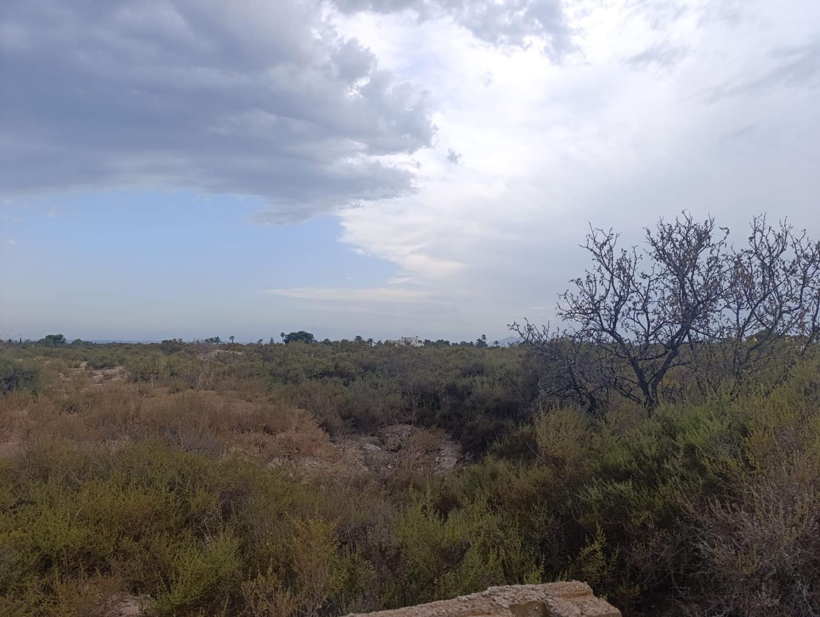 Undeveloped Land for rent in Elche / Elx - € 800 (Ref: 10086147)
