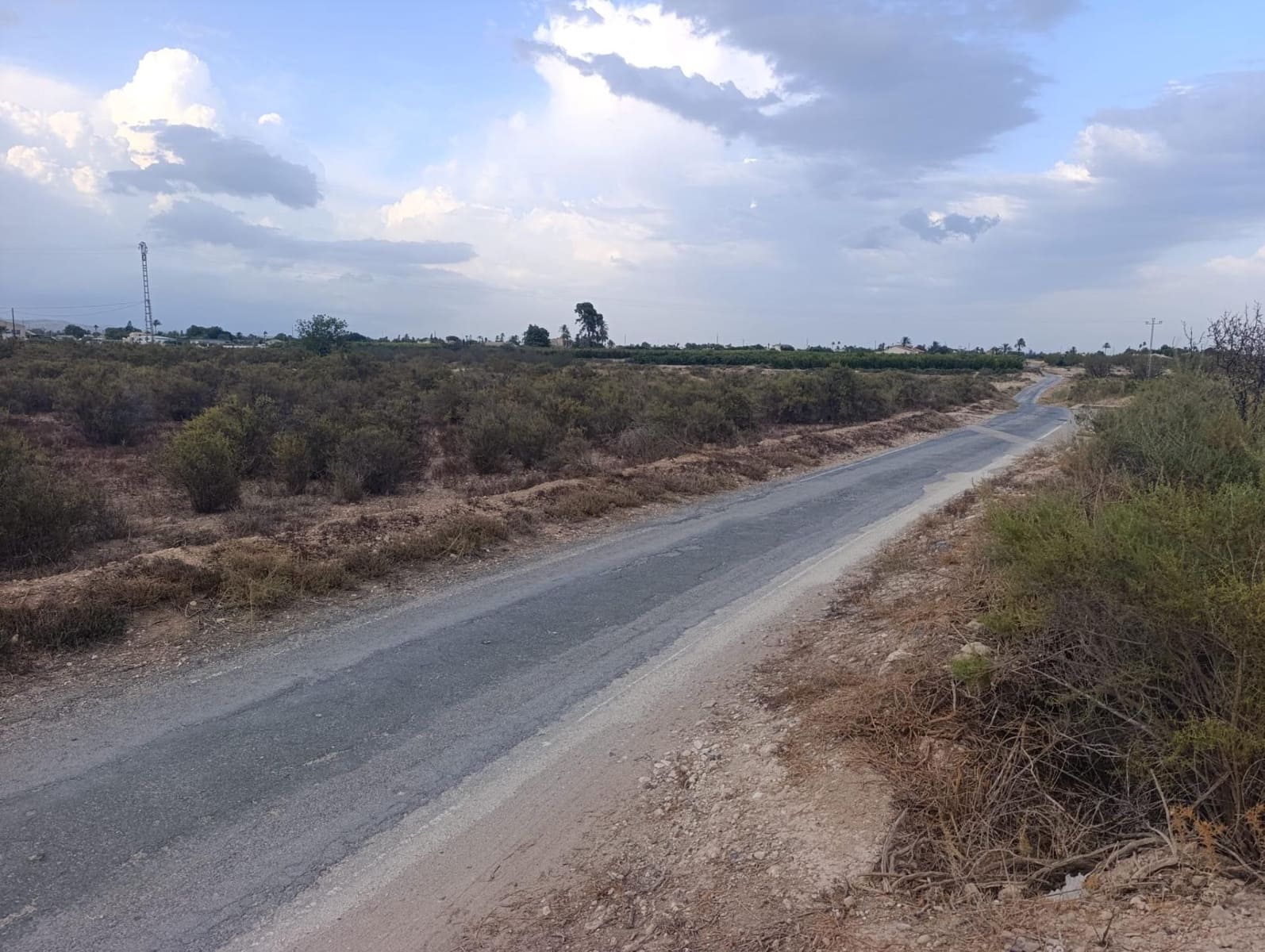 Undeveloped Land for rent in Elche / Elx - € 800 (Ref: 10086147)