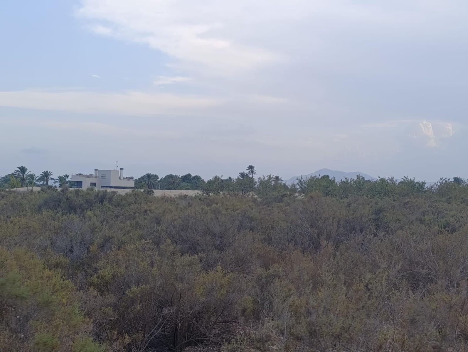 Undeveloped Land for rent in Elche / Elx - € 800 (Ref: 10086147)