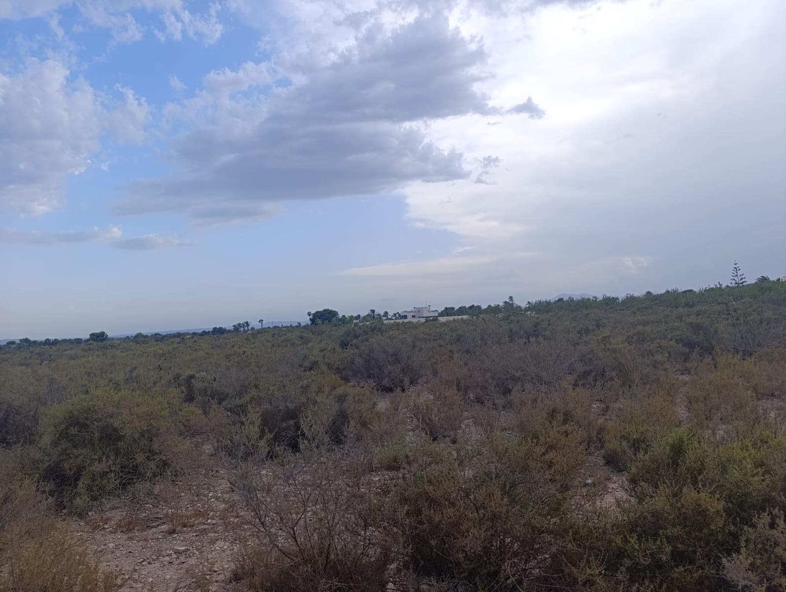 Undeveloped Land for rent in Elche / Elx - € 800 (Ref: 10086147)