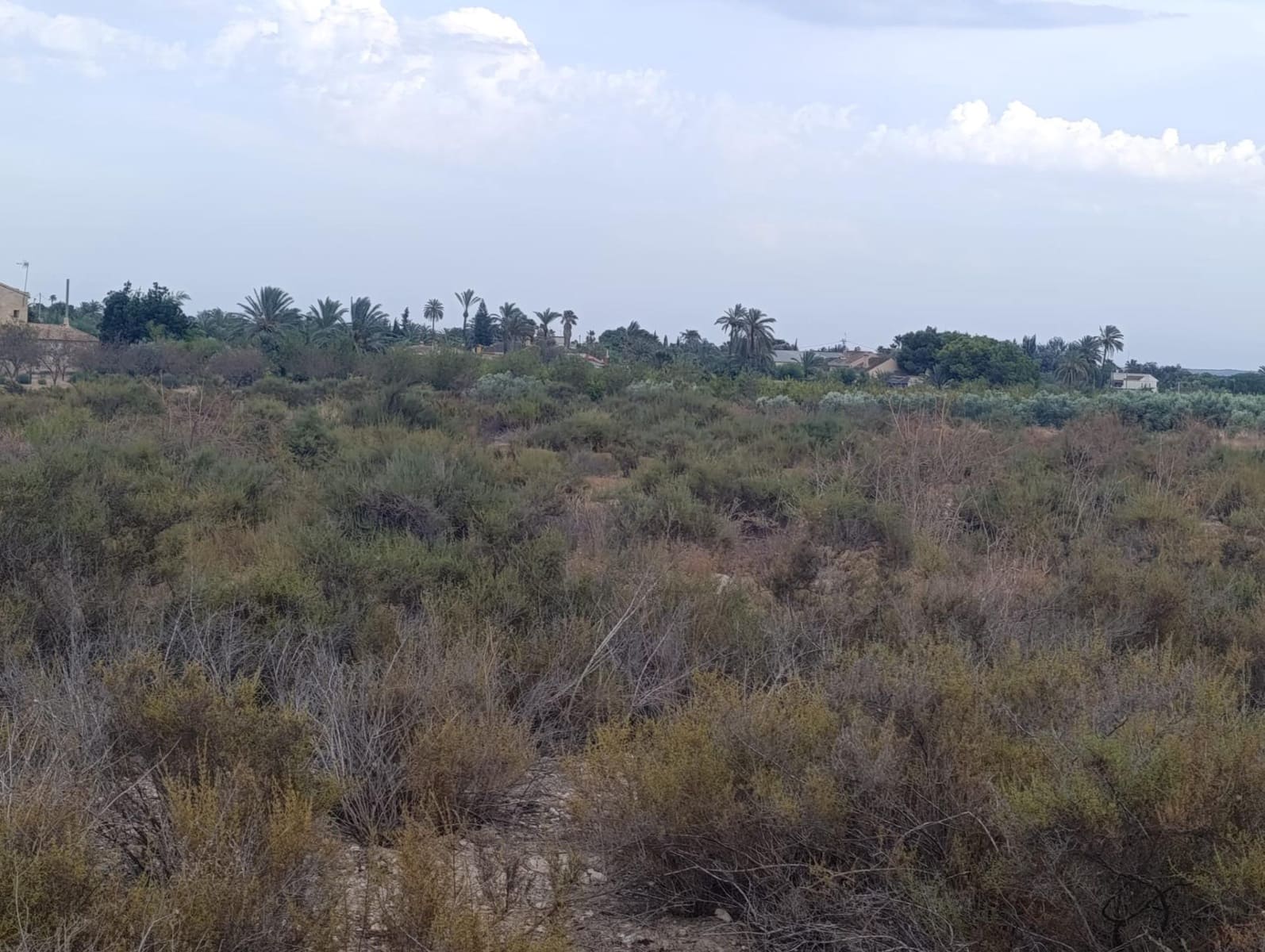 Undeveloped Land for rent in Elche / Elx - € 800 (Ref: 10086147)