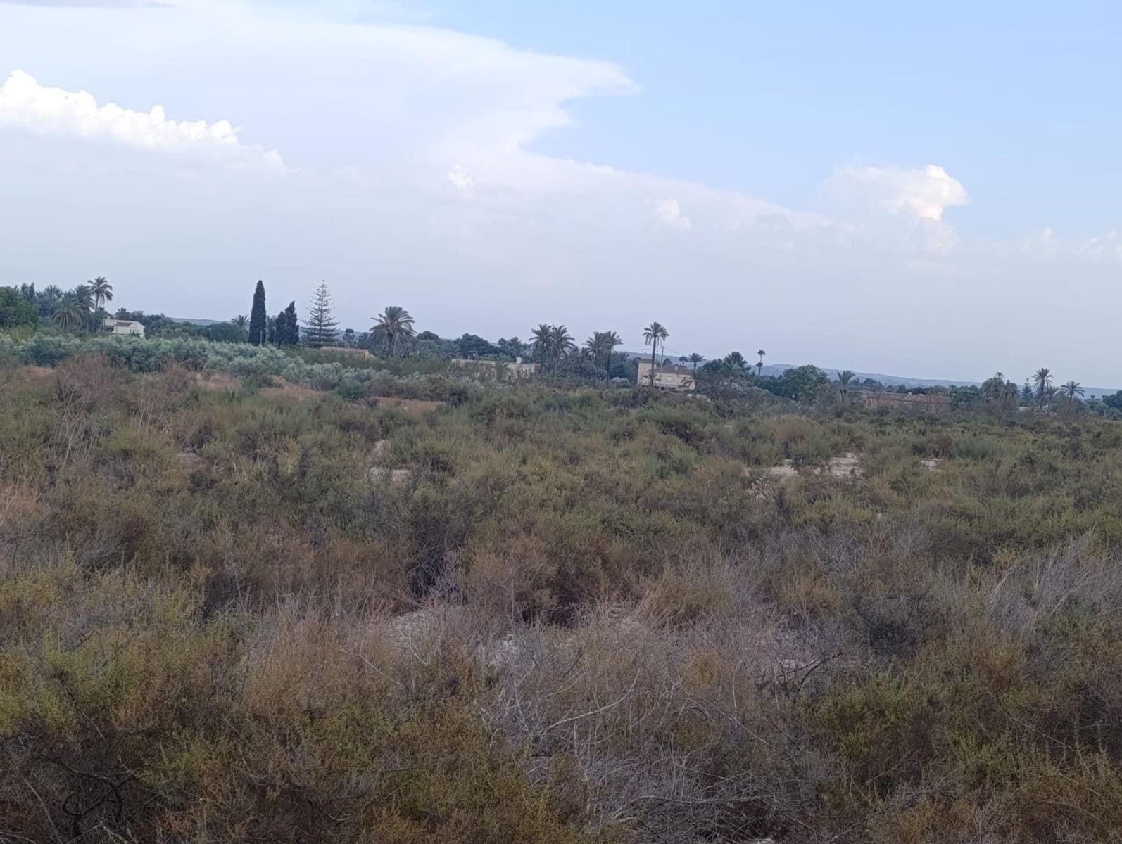 Undeveloped Land for rent in Elche / Elx - € 800 (Ref: 10086147)