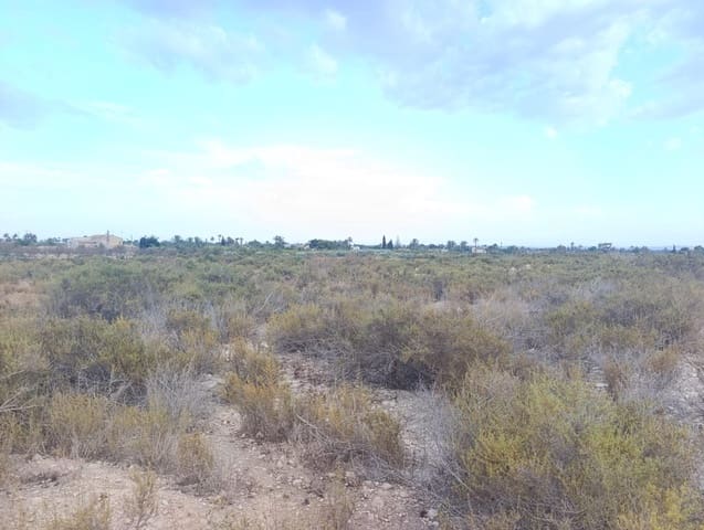 Undeveloped Land for rent in Elche / Elx - € 800 (Ref: 10086147)