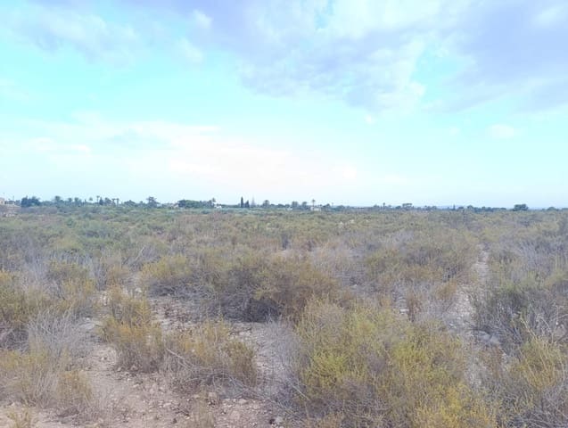 Undeveloped Land for rent in Elche / Elx - € 800 (Ref: 10086147)