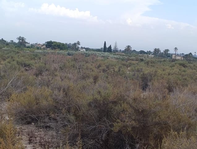Undeveloped Land for rent in Elche / Elx - € 800 (Ref: 10086147)