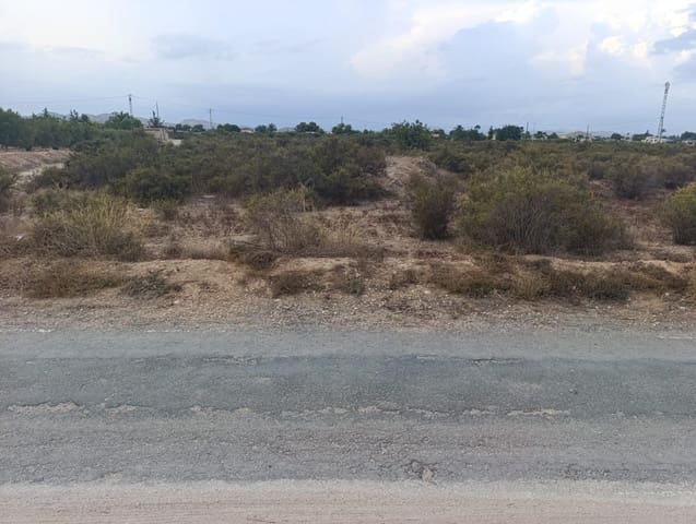 Undeveloped Land for rent in Elche / Elx - € 800 (Ref: 10086147)