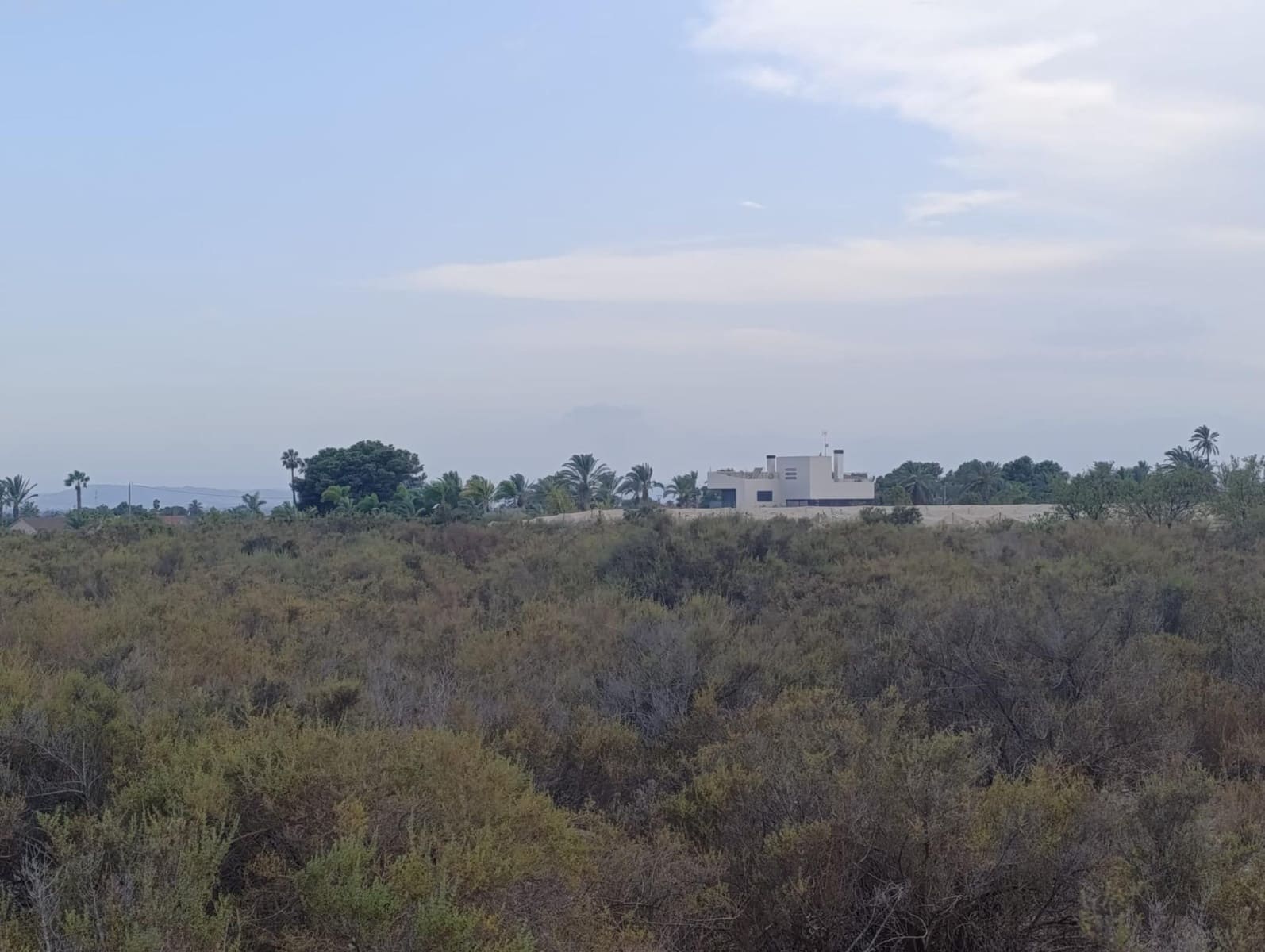Undeveloped Land for rent in Elche / Elx - € 800 (Ref: 10086147)