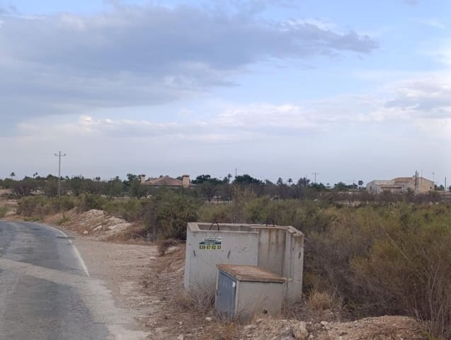 Undeveloped Land for rent in Elche / Elx - € 800 (Ref: 10086147)