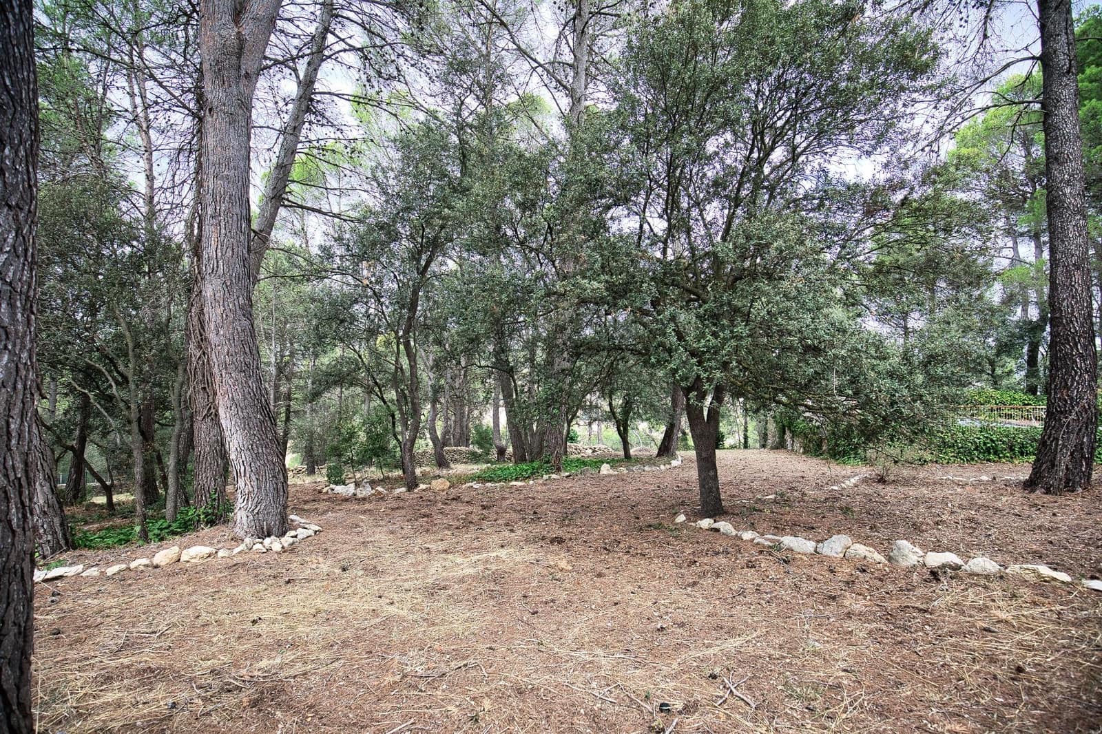 5 camera da letto Villa in vendita in Alcoy / Alcoi con piscina - 590.000 € (Rif: 10131997)