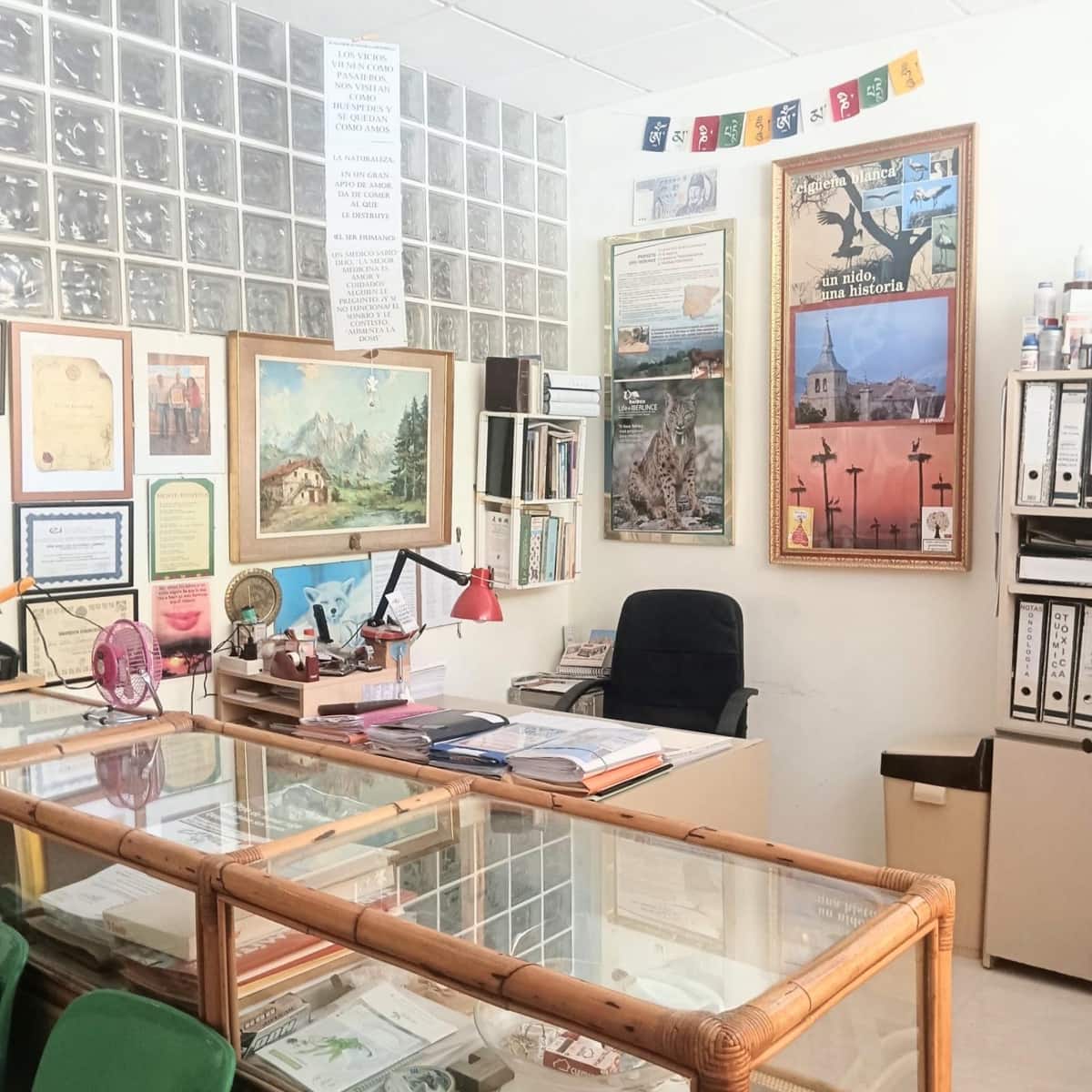 8 bedroom Commercial for sale in Benidorm with garage - € 450,000 (Ref: 10161516)