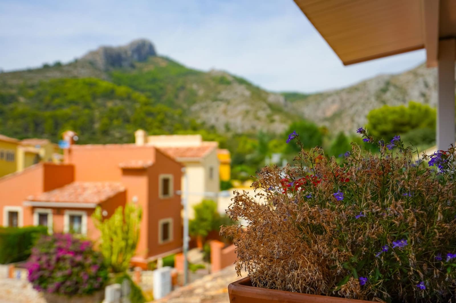6 chambre Local Commercial à vendre à Sagra - 549 000 € (Ref: 10171628)