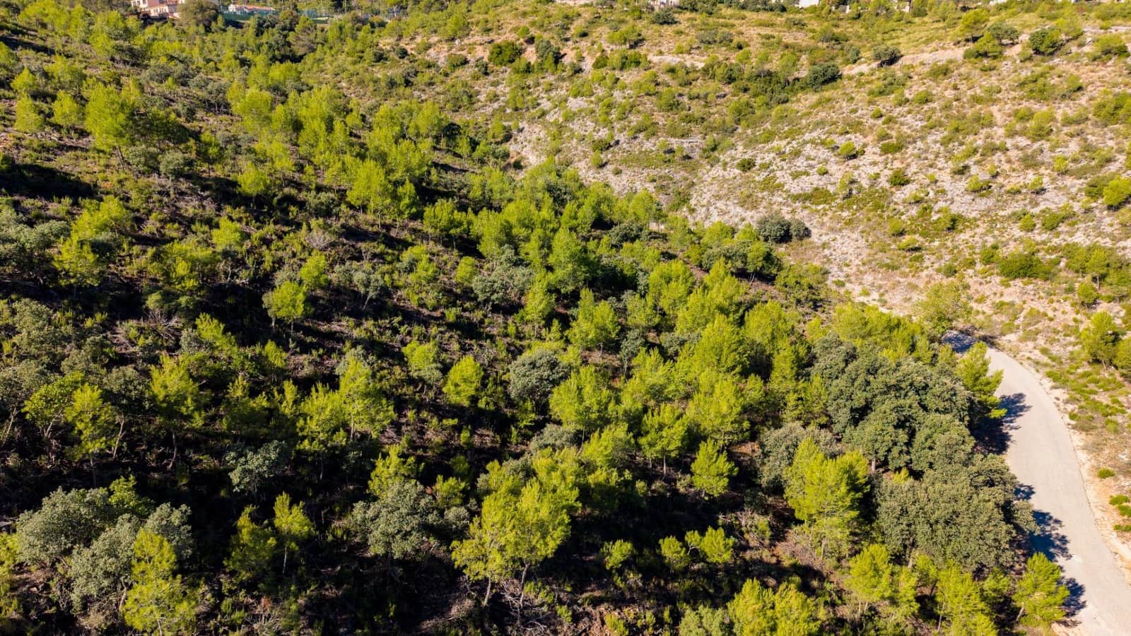 Bouwgrond te koop in Albalate de Zorita - € 649.000 (Ref: 10177155)